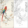 于非闇花鸟工笔画白描底稿《玉兰鹦鹉》临摹勾线高清打印稿HS09 商品缩略图0