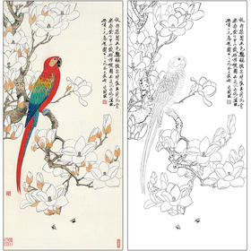 于非闇花鸟工笔画白描底稿《玉兰鹦鹉》临摹勾线高清打印稿HS09
