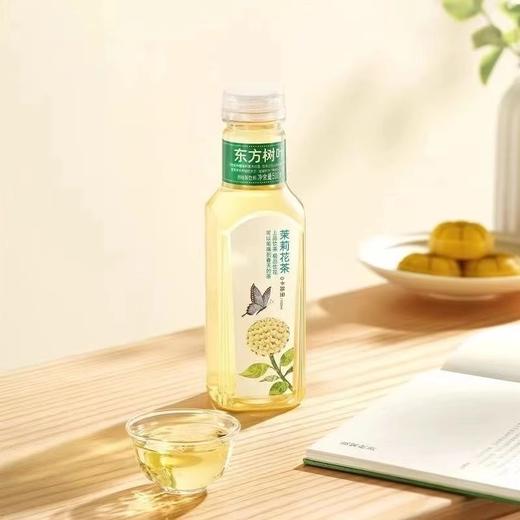 农夫山泉东方树叶系列茶饮料 500ml*15瓶/件 商品图1