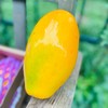 吃海树熟木瓜|比冰糖还甜的木瓜 自然熟的木瓜，拿到手上便能闻到一股浓郁果香红彤彤的果肉娇艳欲滴，滑嫩细腻绵密的口感中充满浓郁的牛奶香丝毫感觉不到纤维，入口即化满满都是汁水，沁人心脾~ 商品缩略图1