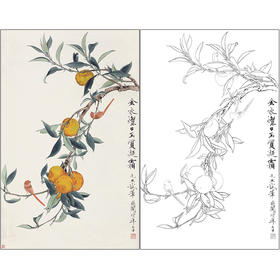 于非闇花鸟工笔画白描底稿《金柑双禽》临摹勾线高清打印稿HS24