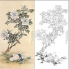 于非闇花鸟工笔画白描底稿《和平富贵》鸽子牡丹临摹勾线高清打印稿HS17 商品缩略图0