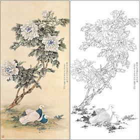 于非闇花鸟工笔画白描底稿《和平富贵》鸽子牡丹临摹勾线高清打印稿HS17