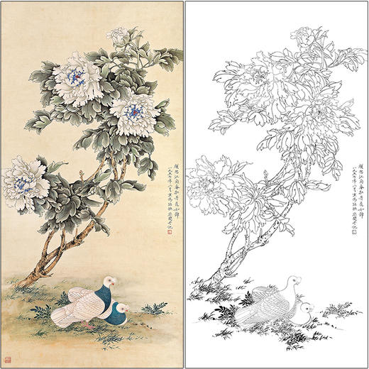 于非闇花鸟工笔画白描底稿《和平富贵》鸽子牡丹临摹勾线高清打印稿HS17 商品图0