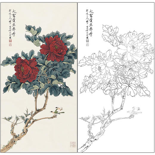 于非闇花鸟工笔画白描底稿《大富贵亦寿考》临摹勾线高清打印稿HS12 商品图0