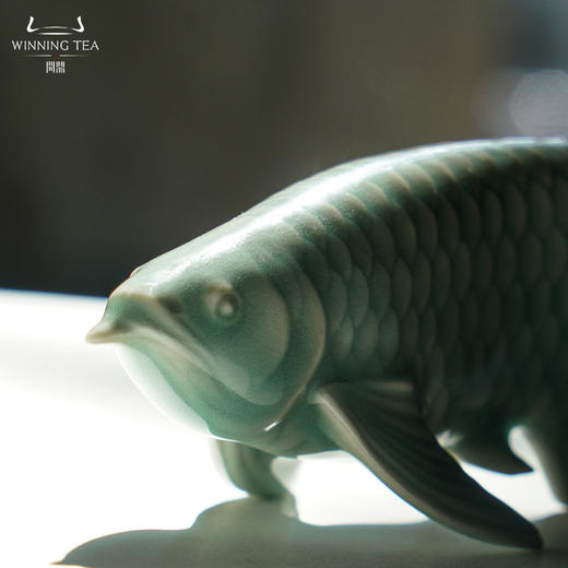 问鼎鱼茶宠（缺货） 商品图2