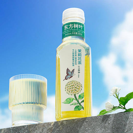 农夫山泉东方树叶茉莉花茶500ml 商品图1