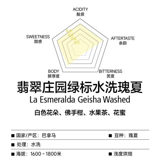 巴拿马翡翠庄园绿标水洗瑰夏甄选手冲咖啡豆 商品图1