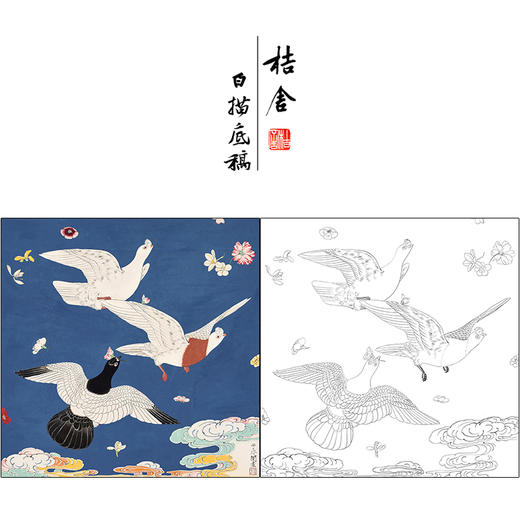 于非闇花鸟工笔画白描底稿《和平鸽》临摹勾线高清打印稿HS22 商品图0