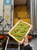 周四取货：【新疆无核白葡萄】一箱毛重5.5斤左右，  甜蜜多汁，一口一颗，甜蜜蜜！ 商品缩略图6