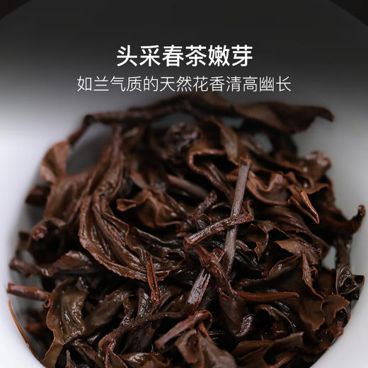 2024年漳平水仙红茶6泡（约30g） 商品图3