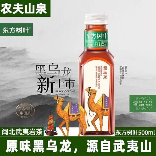 农夫山泉东方树叶黑乌龙无糖0糖茶饮料500ml/瓶 商品图0