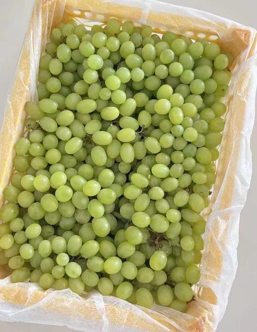 周四取货：【新疆无核白葡萄】一箱毛重5.5斤左右，  甜蜜多汁，一口一颗，甜蜜蜜！ 商品图7