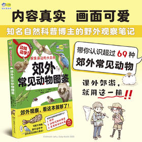 探索身边的大自然 郊外常见动物图鉴 生物科普图鉴 大自然观察 户外自然