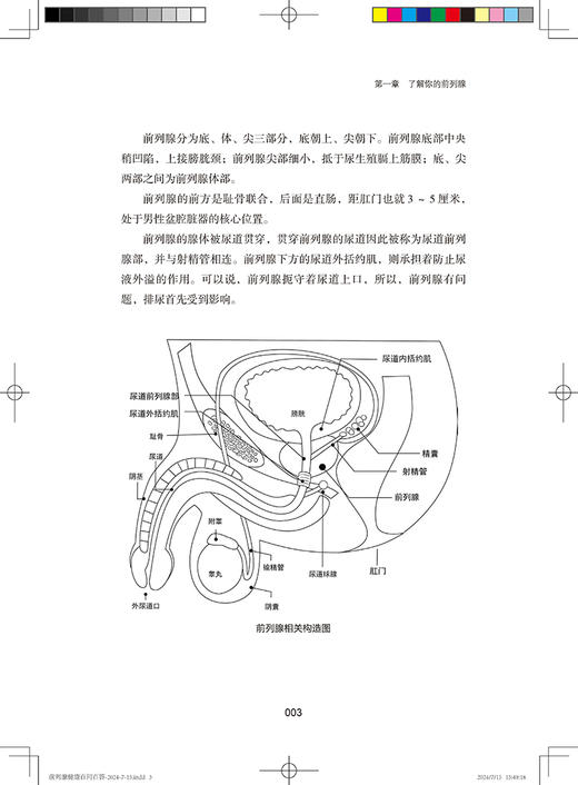 生命之腺 前列腺健康百问百答 王耀堂主编 男科疾病前列腺疾病诊治预防问题解答 中医古籍出版社9787515228501 商品图4