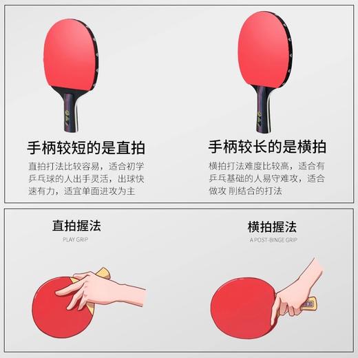 吴磊代言！【2拍送拍包和5个球】  PEAK/匹克乒乓球拍双拍初学者儿童成人星级专业训练比赛横拍直拍 商品图2