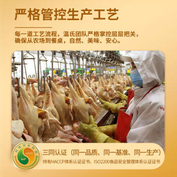 温氏供港黑脚土鸡2斤 莫氏鸡煲同款食材 走地鸡 110天农家散养 商品图7