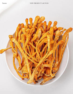 上了热搜的蛹虫草，到底是个啥？