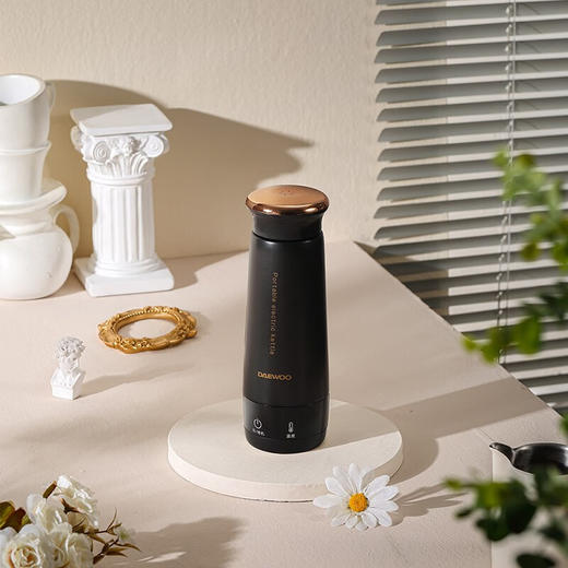 大宇（DAEWOO） 便携式迷你烧水杯家用旅行泡茶电热水杯 D6耀黑 0.3L 商品图2