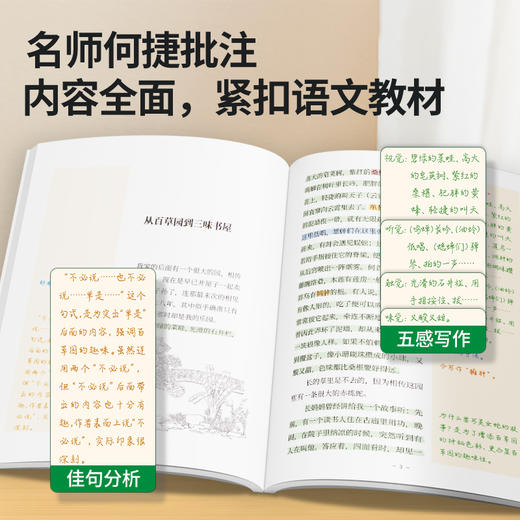 【暑期阅读】少年读名家共5册 少年读鲁迅萧红朱自清老舍 7-12岁小学课外阅读 商品图3