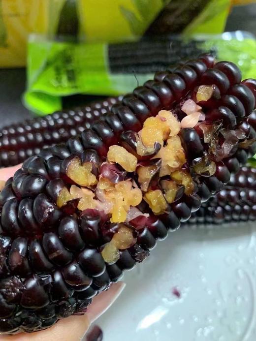 山西忻州 香糯黑玉米 SGS检测 非转基因 商品图4