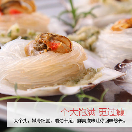 深海日记蒜蓉粉丝半壳扇贝200g 商品图3