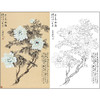 于非闇花鸟工笔画白描底稿《青春永驻》牡丹临摹勾线高清打印稿HS19 商品缩略图0