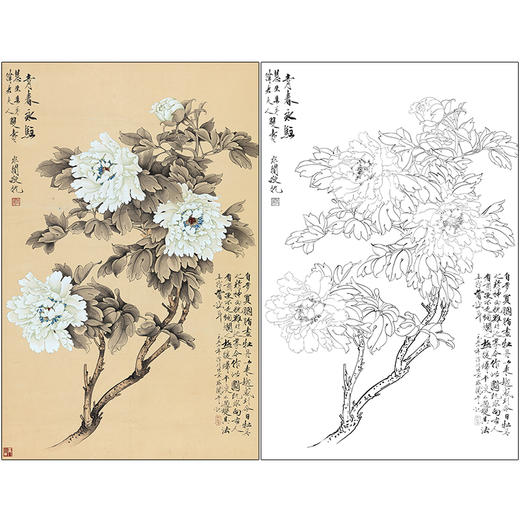 于非闇花鸟工笔画白描底稿《青春永驻》牡丹临摹勾线高清打印稿HS19 商品图0