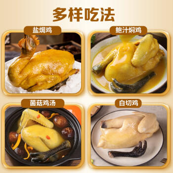 温氏供港黑脚土鸡2斤 莫氏鸡煲同款食材 走地鸡 110天农家散养 商品图2