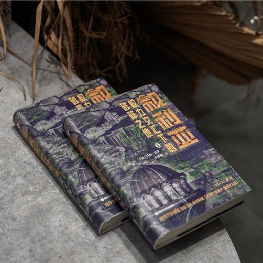 好望角丛书·叙利亚：权力交汇下的破碎之地([法]马修·雷伊) 商品图3