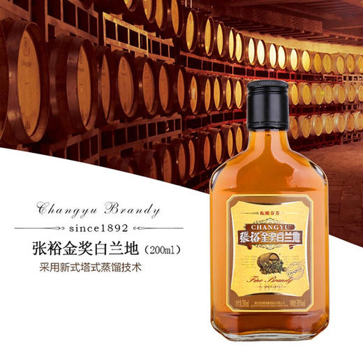 张裕金奖白兰地200nl 商品图3