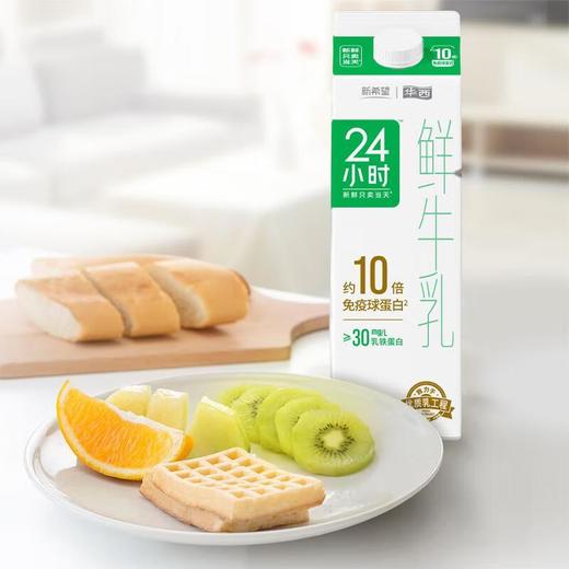 新希望 巴氏杀菌 24小时 鲜牛奶 950ml（盒） 商品图5