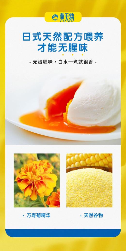 黄天鹅 可生食鸡蛋 30枚/箱 商品图3