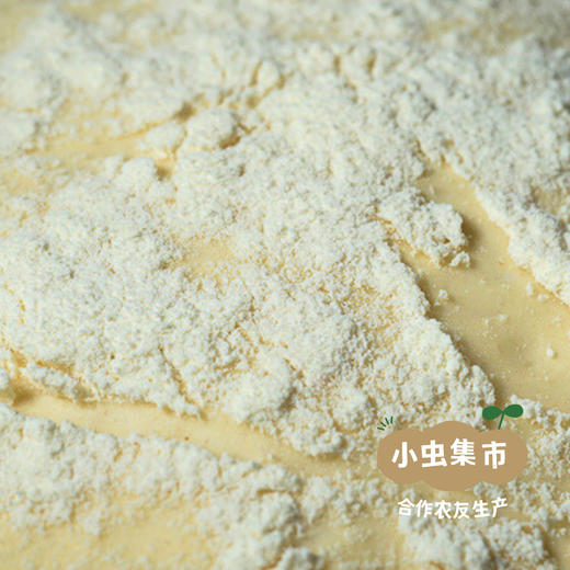 自然酵母 10g/袋 | 合作农友生产，来自山东济宁，生产者：吕志政 ＆【公平贸易农人定价】 商品图7