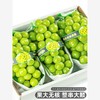 【买1斤送1斤！阳光玫瑰！玫瑰香味！顺丰包邮！】阳光玫瑰葡萄新鲜水果礼盒晴王无籽香印青提当季整箱套袋-24XPXH000 商品缩略图0