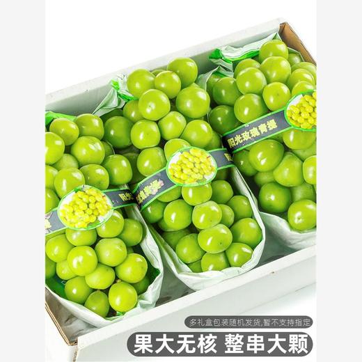 【买1斤送1斤！阳光玫瑰！玫瑰香味！顺丰包邮！】阳光玫瑰葡萄新鲜水果礼盒晴王无籽香印青提当季整箱套袋-24XPXH000 商品图0