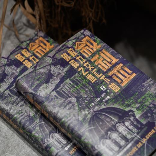 好望角丛书·叙利亚：权力交汇下的破碎之地([法]马修·雷伊) 商品图4