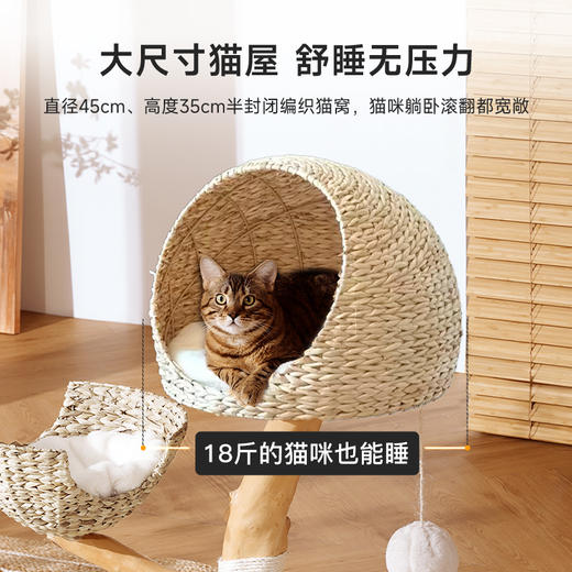 兽牌木悠系列猫爬架 商品图5