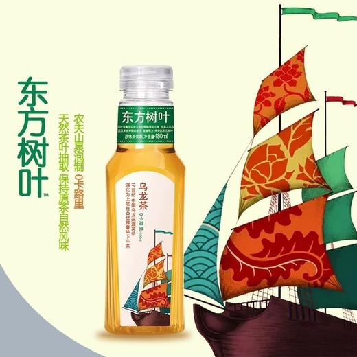 农夫山泉东方树叶乌龙无糖饮料500ml 商品图0