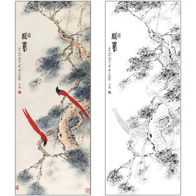 于非闇花鸟工笔画白描底稿《松寿》绶带鸟临摹勾线高清打印稿HS29