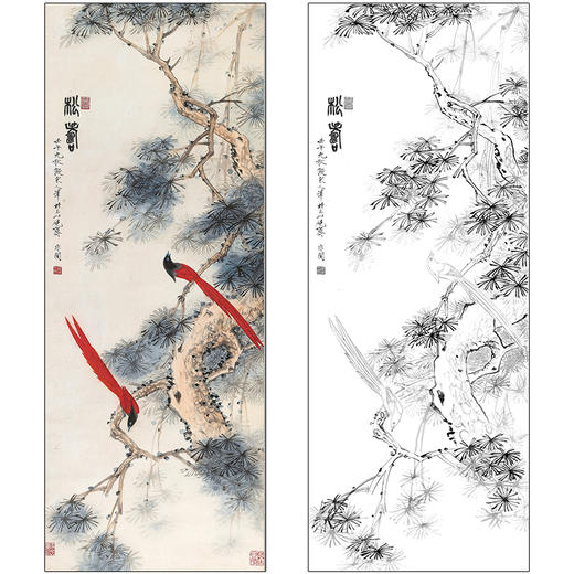 于非闇花鸟工笔画白描底稿《松寿》绶带鸟临摹勾线高清打印稿HS29 商品图0