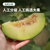 【预售 顺丰包邮】绵密软糯 香甜多汁 | 赤峰牛3蜜瓜 甜瓜贵族 中秋送礼 5斤精品礼盒装 商品缩略图3