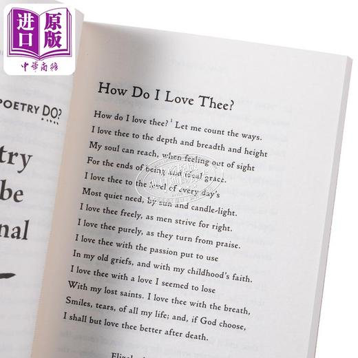 【中商原版】什么是诗歌 阅读和写诗的基本指南 What Is Poetry 英文原版 Michael Rosen Jill Calder 文学理论与批评 商品图3