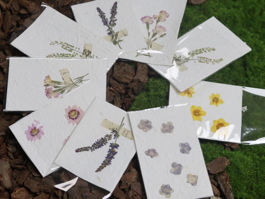 押花贺卡15个起送款式随机 商品图0