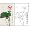 于非闇花鸟工笔画白描底稿《荷花蜻蜓》临摹勾线高清打印稿HS18 商品缩略图0
