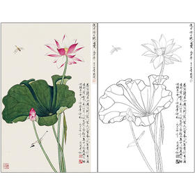 于非闇花鸟工笔画白描底稿《荷花蜻蜓》临摹勾线高清打印稿HS18