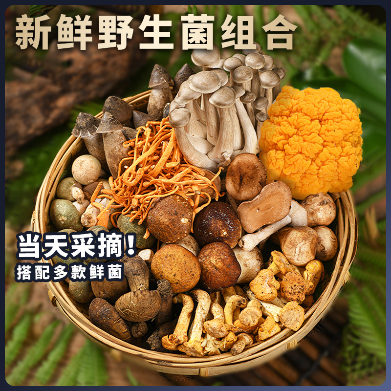 【野生菌组合•云南】#顺丰空运  10种菌菇 美味鸡枞菌、金耳菌、青头菌、鸡油菌、虫草花、牛肝菌、竹荪花等2种组合任选