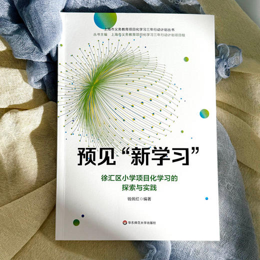 预见“新学习” 徐汇区小学项目化学习的探索与实践 钱佩红 商品图1