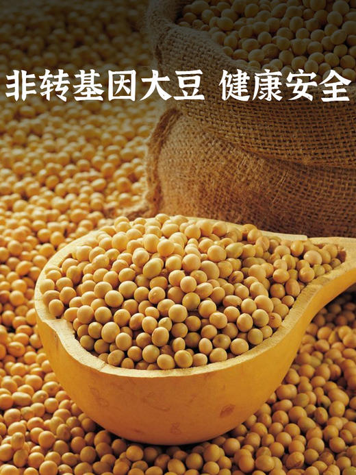 福袋300g*2份 | 五点素 商品图2