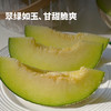 【预售 顺丰包邮】绵密软糯 香甜多汁 | 赤峰牛3蜜瓜 甜瓜贵族 中秋送礼 5斤精品礼盒装 商品缩略图1